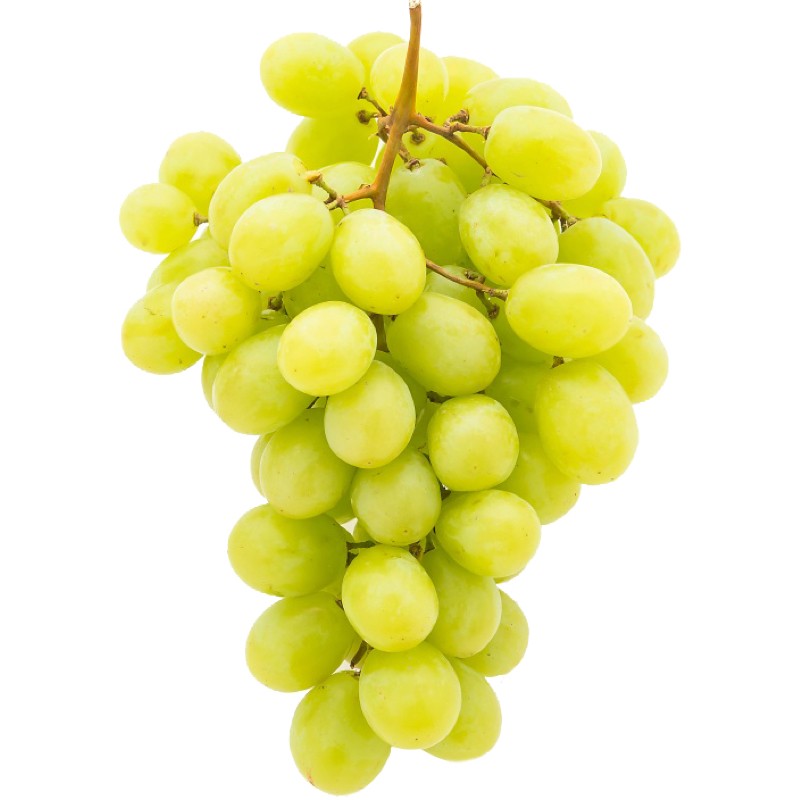 Grape