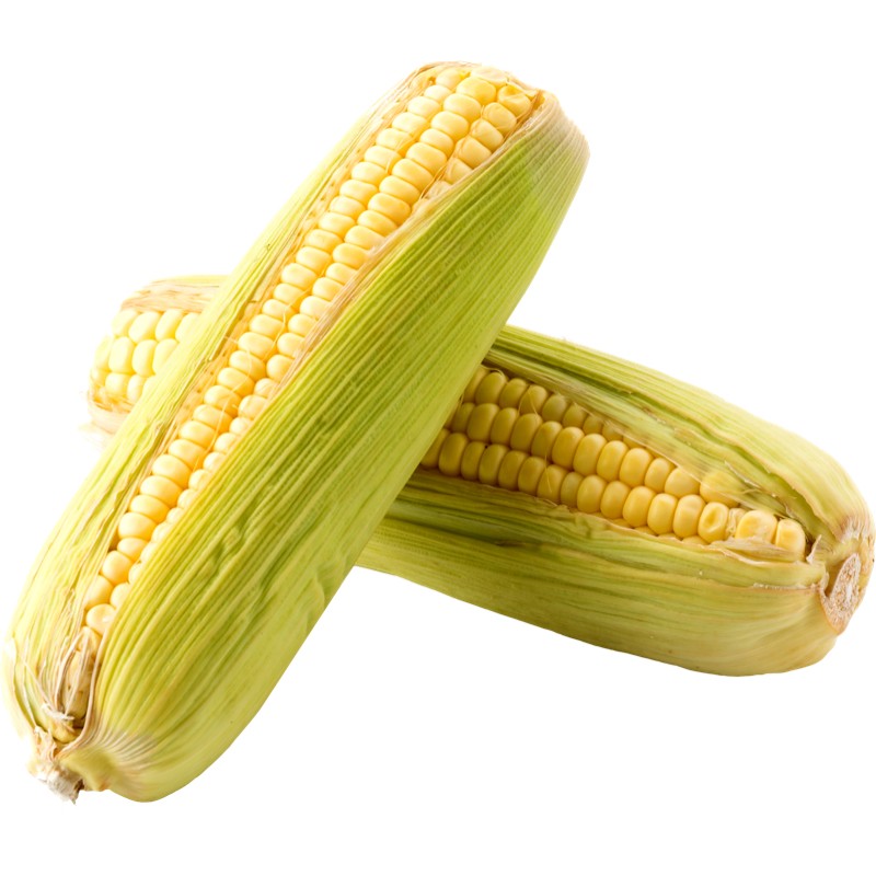 Corn